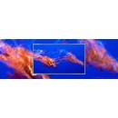 Matryca do Laptopa Dell LATITUDE E6530