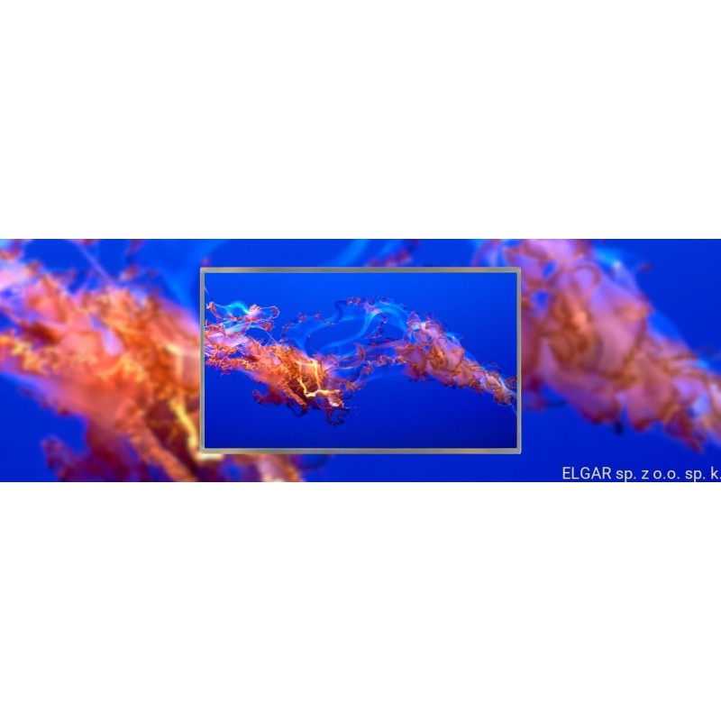 Matryca HB156WX1-100 15,6 BOE 1366x768 HD