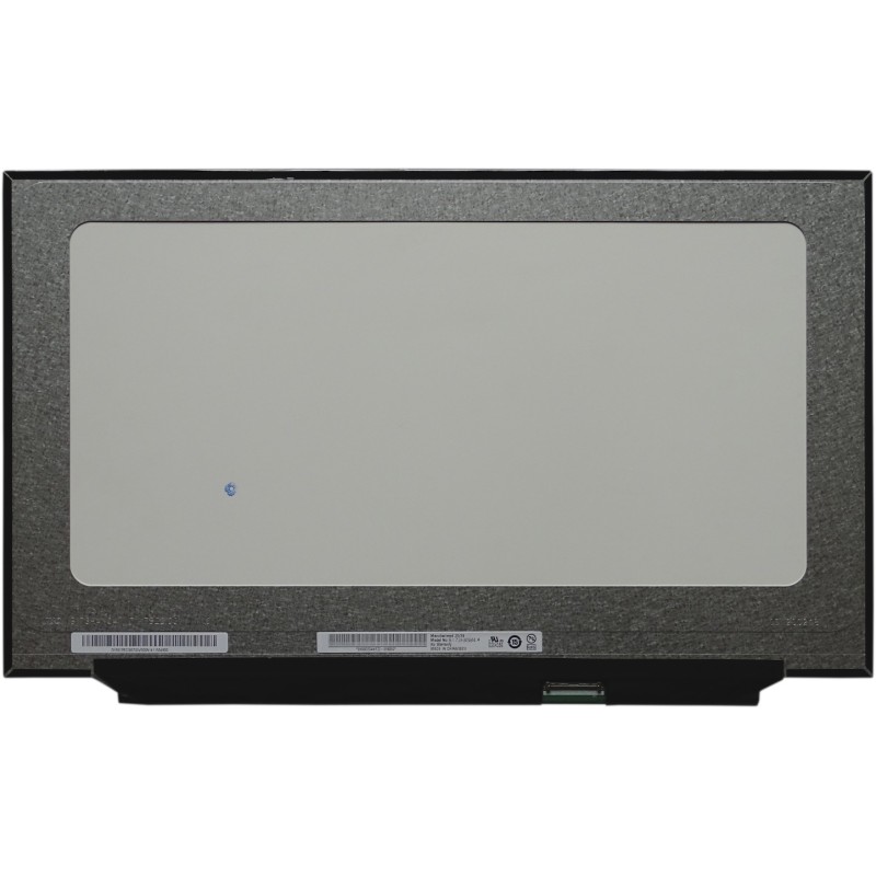 Matryca do Laptopa MSI GE75 Raider 8SF