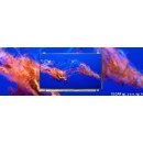 Matryca LP140WH8(TP)(A1) LP140WH8-TPA1 14,0 HD