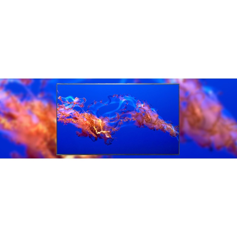 Matryca NV156FHM-N4T IPS Bez montażowa