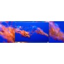 Matryca B140HAN03.3 14,0 FHD IPS