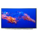 Matryca do laptopa 15,6" Full HD IPS