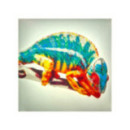 Zestaw PLA Starter Lithophane CMYK 4 kg