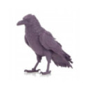FILAMENT 3D ReFill PLA-CF Matt Grape Violet (1kg / 1.75mm)